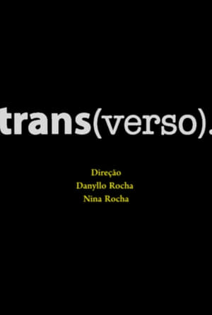 Poster Trans(verso) 2016