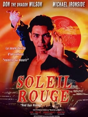 Image Soleil rouge