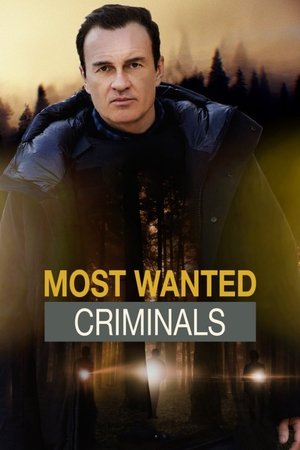 FBI: Most Wanted streaming