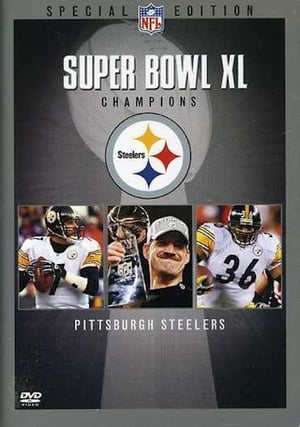Image Super Bowl XL Champions: Pittsburgh Steelers