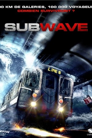 Poster Subwave 2013