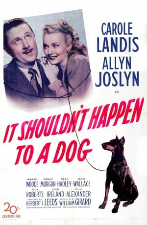 Poster It Shouldn't Happen to a Dog (1946)