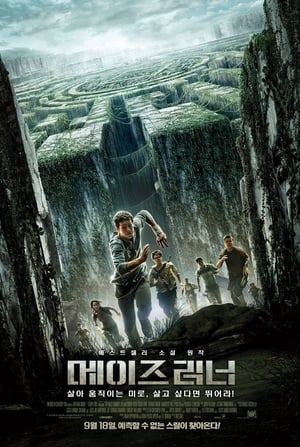 Poster 메이즈 러너 2014