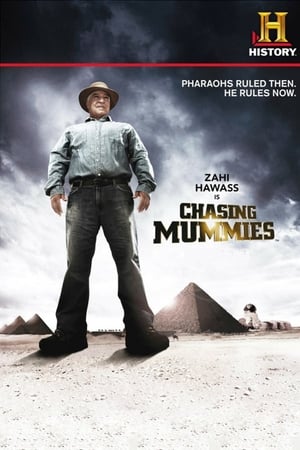 Image Chasing Mummies