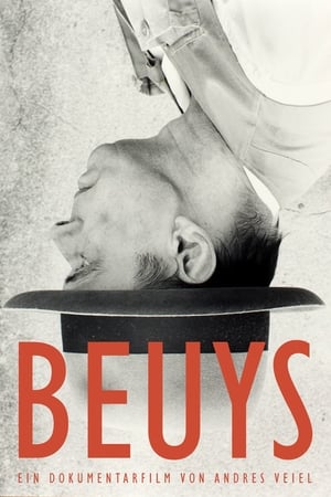Poster Beuys 2017