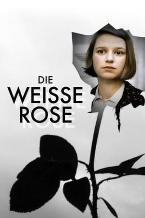 Poster The White Rose 1982