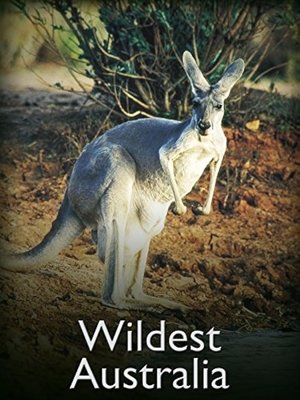Nonton film Wildest Australia (1996) terbaru sub indo Nonton film Wildest Australia (1996) terbaru sub indo