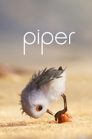 Watch Piper (2016) HD Movie Online Free