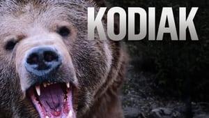 poster Kodiak