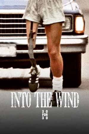 Poster Into the Wind (2010)