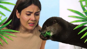 Épisode 12