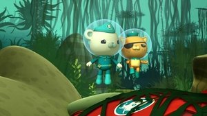 Octonauts The Loggerhead Sea Turtle