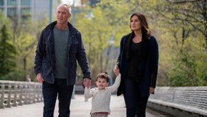 Law & Order – Unità vittime speciali: Stagione 17 x Episodio 23