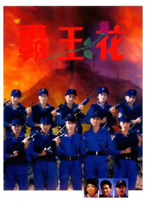 Poster 霸王花 1988