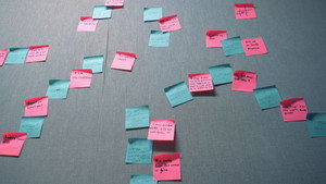 I Will See You, Starling