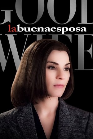 Poster The Good Wife Temporada 7 SSV 2015