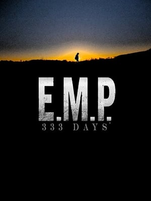 Poster E.M.P. 333 Days 2019