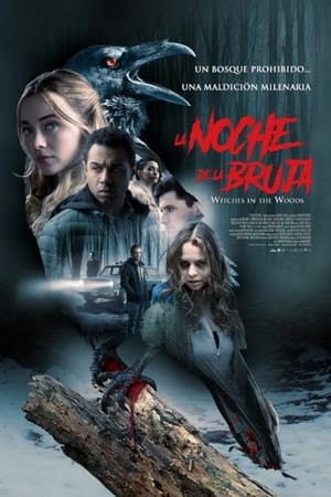 Poster La noche de la bruja 2019