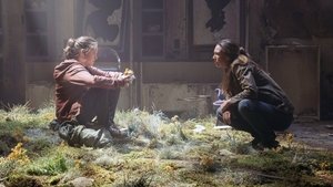 The Last of Us: 1×2