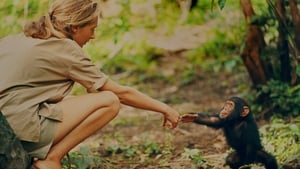 Jane: A Mãe dos Chimpanzés