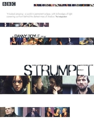 Strumpet poster