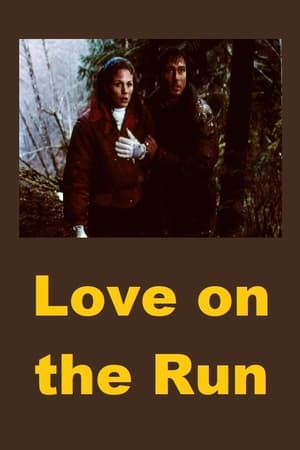 Poster Love on the Run (1994)