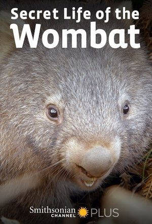 La Vida Secreta de los Wombat