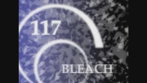Bleach: 1×117