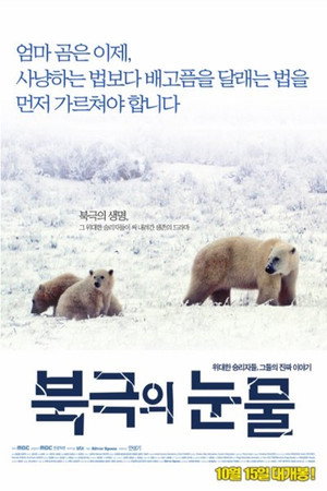 Tears in the Arctic 3