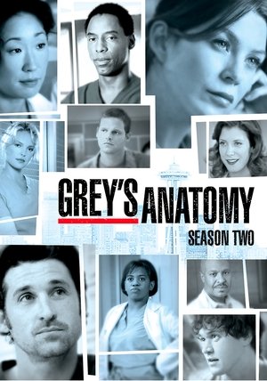 Grey's Anatomy: Säsong 2