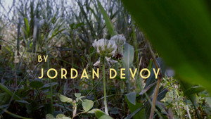 Invisible – Revealing Hidden Disabilities