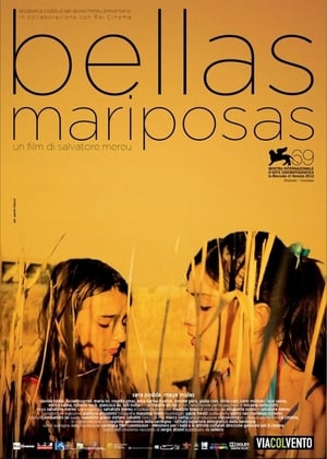 Poster Bellas Mariposas 2012