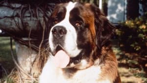 Ein Hund namens Beethoven (1992)