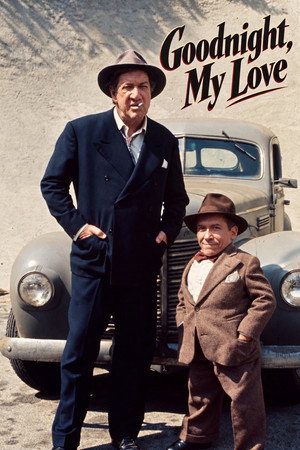 Goodnight, My Love