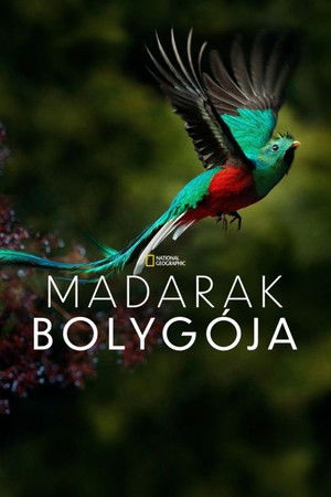 Madarak bolygója (2018)