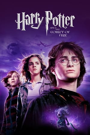 Download Harry Potter and the Goblet of Fire (2005) Dual Audio {Hindi-English} BluRay 480p [520MB] | 720p [1.3GB] | 1080p [3.1GB]