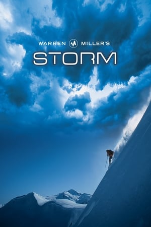 Poster Storm (2002)