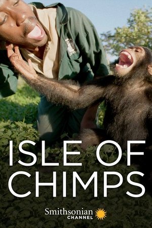 Nonton film Isle of Chimps (2019) terbaru sub indo Nonton film Isle of Chimps (2019) terbaru sub indo