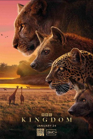 Kingdom (2025)