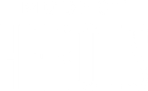 Modest Heroes