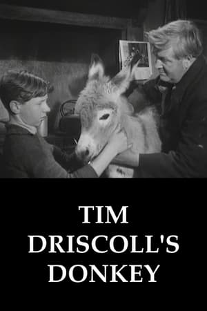 Tim Driscoll's Donkey poster
