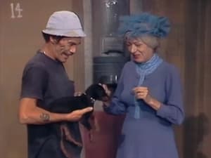 Chaves: 4×30
