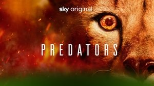 Predators