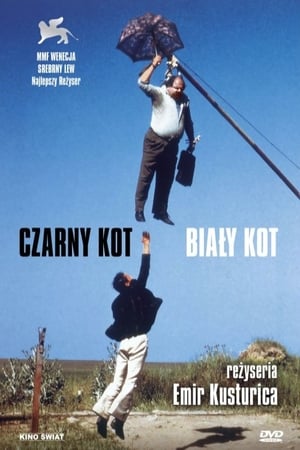 Image Czarny kot, biały kot