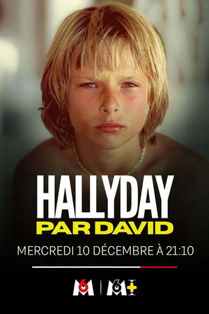 Hallyday par David 5