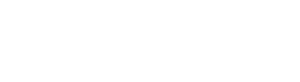 Los fontaneros de la Casa Blanca