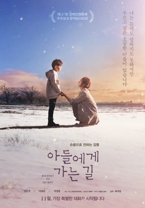 Poster Journey to My Boy (2017)