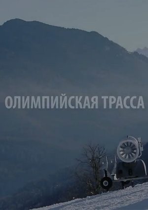 Олимпийская трасса (2014)