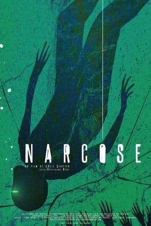 Poster Narcose (2014)