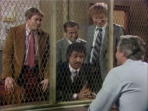 Barney Miller Contempt (2)